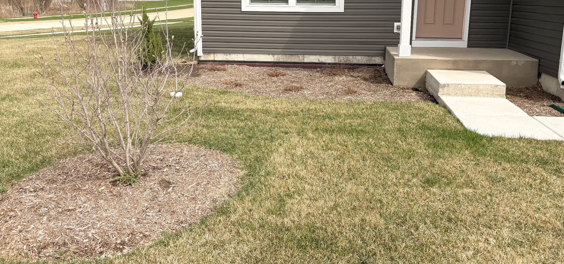 Flower bed transformation — before