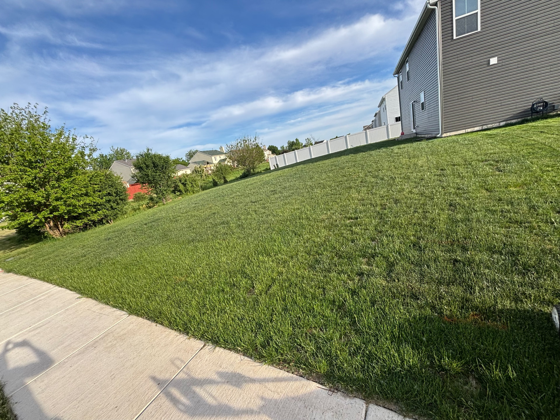Side yard cleanup — before
