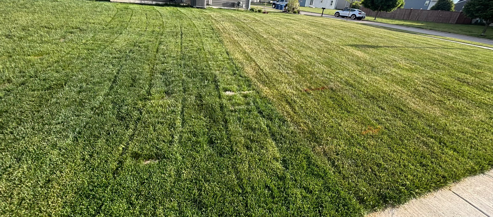 Side yard cleanup — after